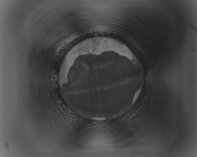 X0000103220822200809251133