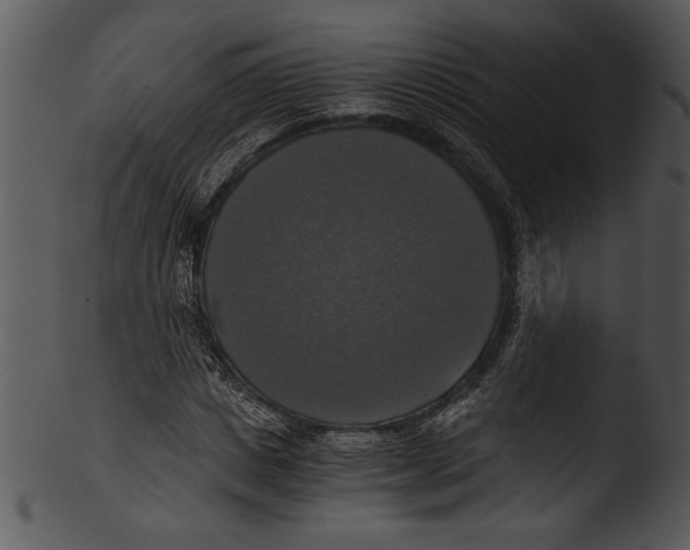 X0000103220825200809251133