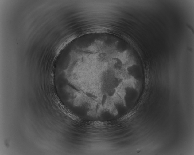 X0000103220827200809251133