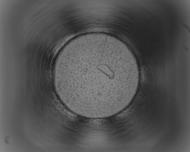 X0000103220828200809251133