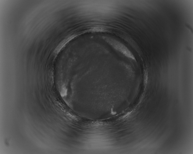 X0000103220829200809251133