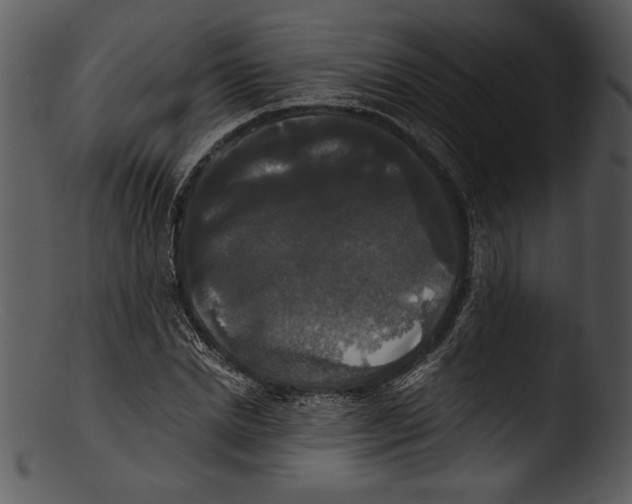 X0000103220830200809251133