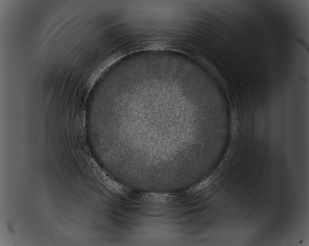 X0000103220831200809251133