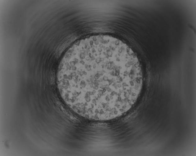 X0000103220833200809251133