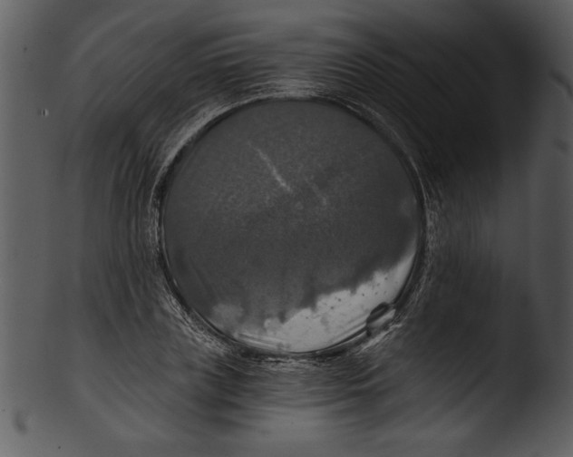 X0000103220835200809251133