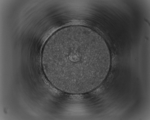 X0000103220836200809251133