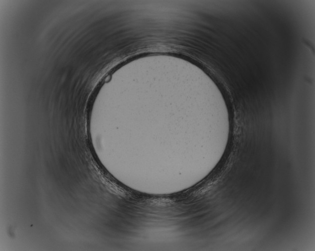 X0000103220837200809251133