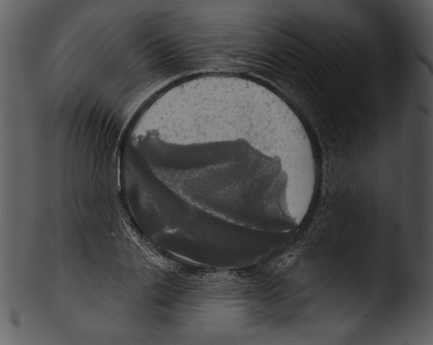 X0000103220838200809251133