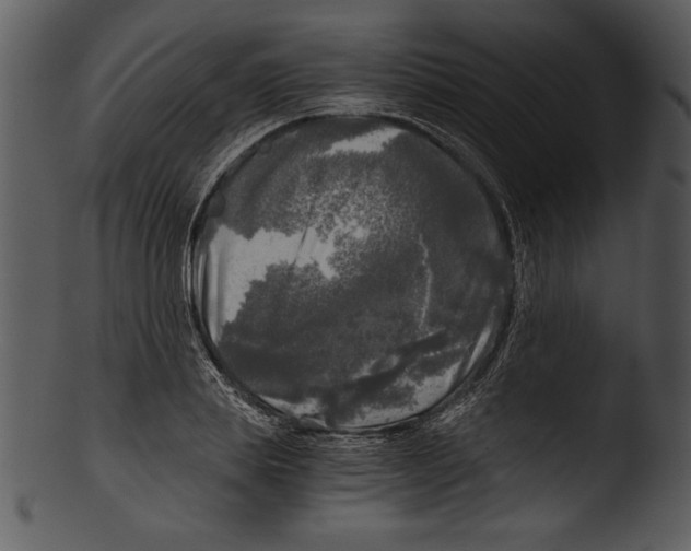 X0000103220839200809251133