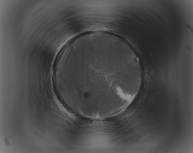 X0000103220840200809251133