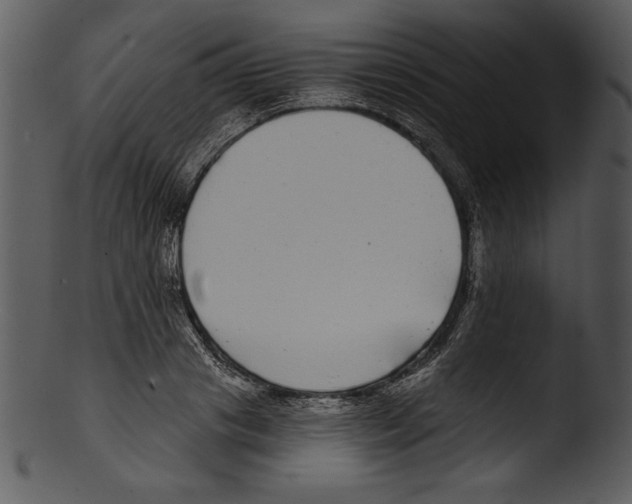 X0000103220841200809251133