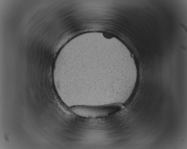 X0000103220842200809251133