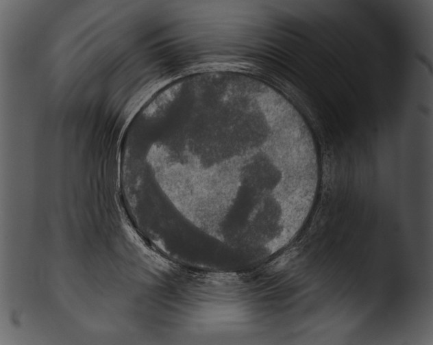 X0000103220844200809251133