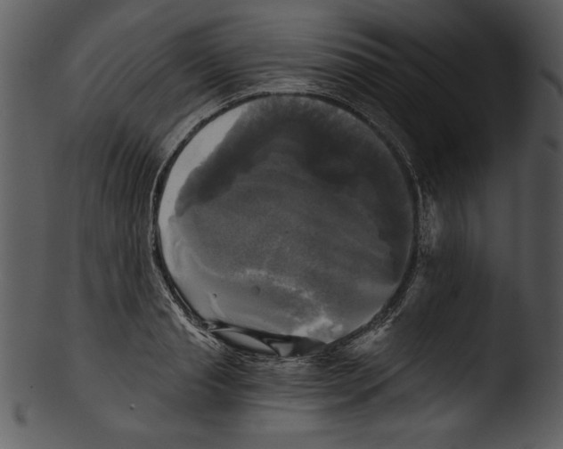 X0000103220845200809251133