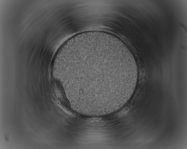 X0000103220846200809251133