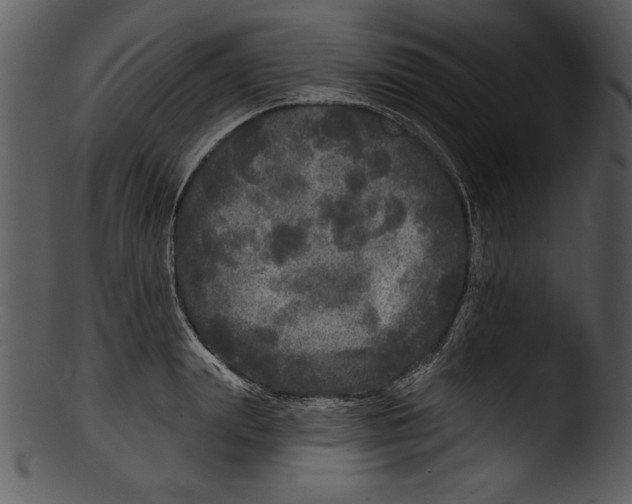 X0000103220847200809251133