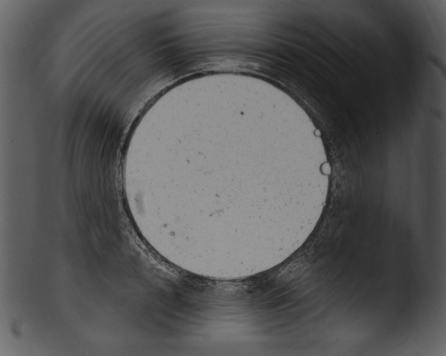 X0000103220848200809251133