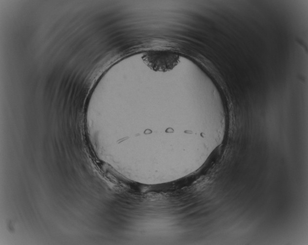 X0000103220850200809251133