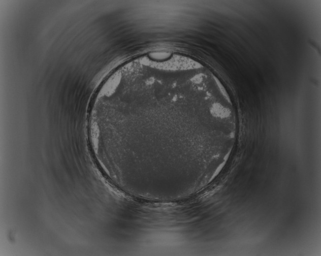 X0000103220853200809251133