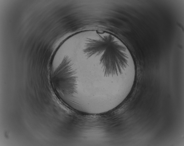 X0000103220854200809251133