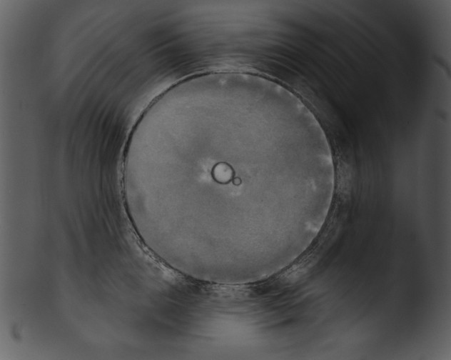 X0000103220856200809251133