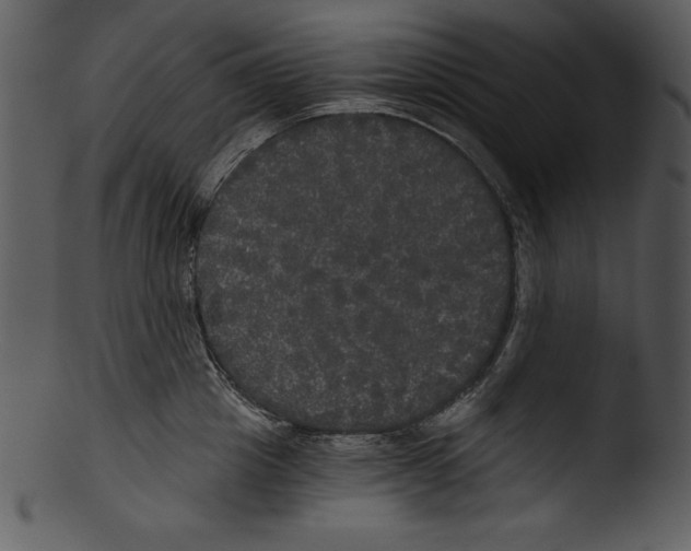 X0000103220857200809251133