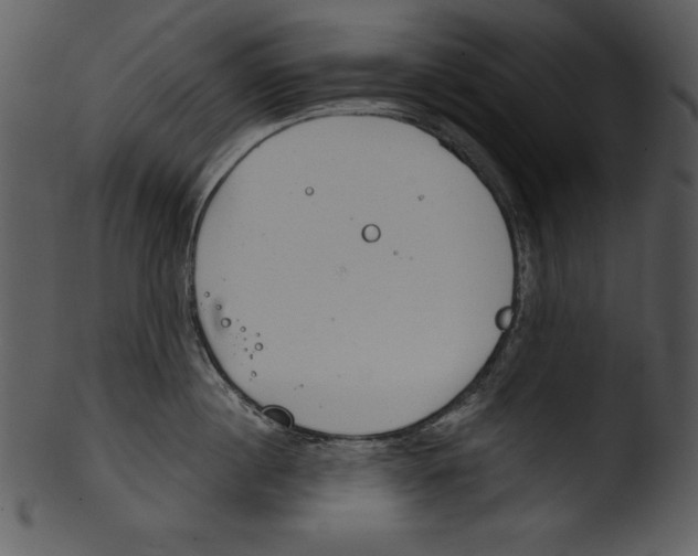 X0000103220860200809251134