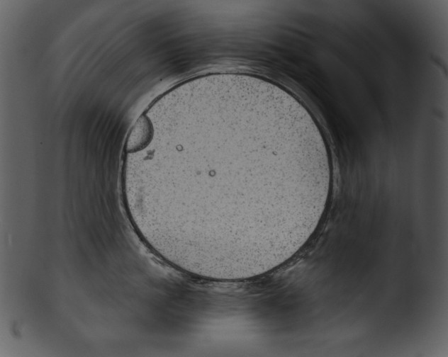 X0000103220861200809251134