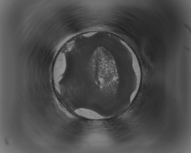 X0000103220862200809251134