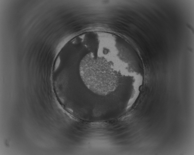 X0000103220863200809251134