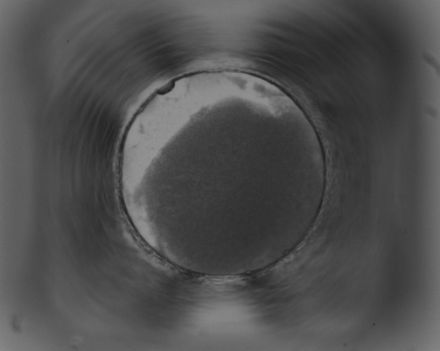 X0000103220864200809251134