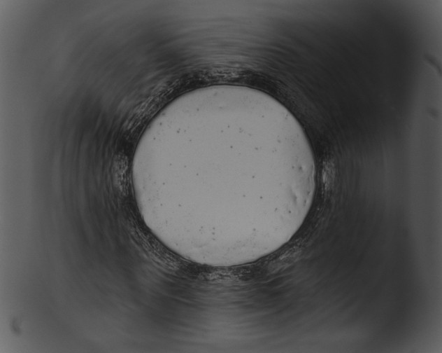 X0000103220867200809251133