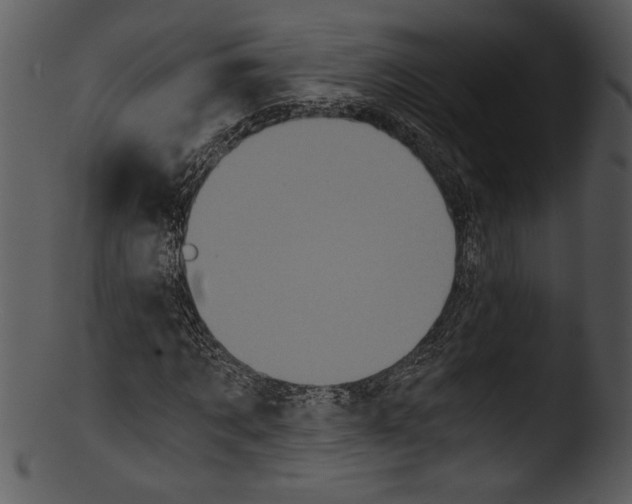 X0000103220869200809251133