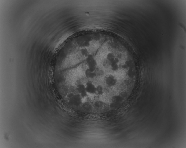 X0000103220871200809251133