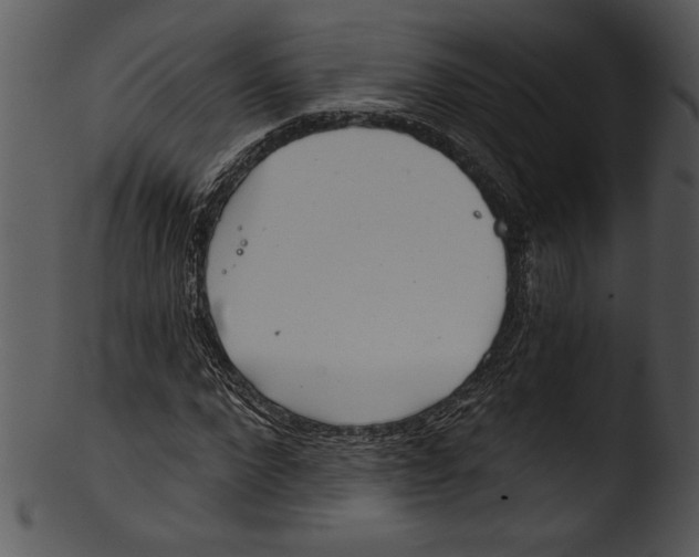 X0000103220872200809251133