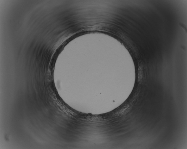 X0000103220876200809251133