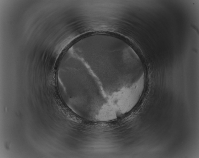 X0000103220879200809251133