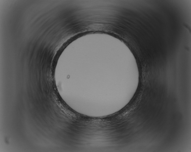 X0000103220880200809251133