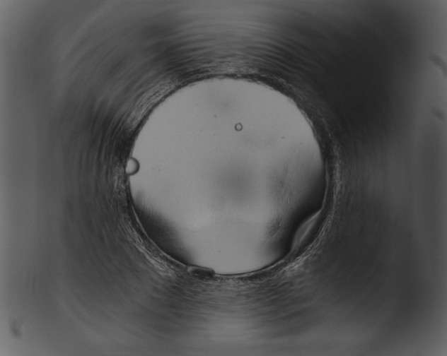 X0000103220881200809251133