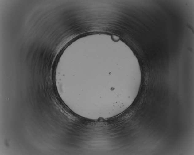 X0000103220884200809251132