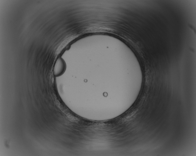 X0000103220885200809251132