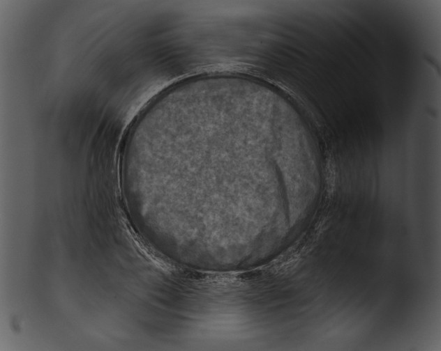 X0000103220886200809251132