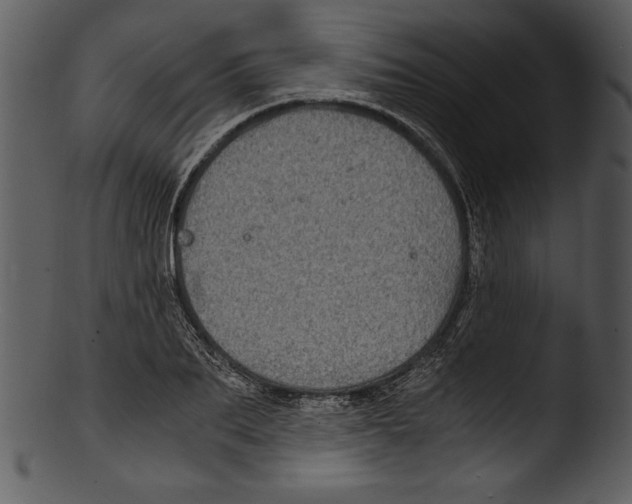 X0000103220887200809251132