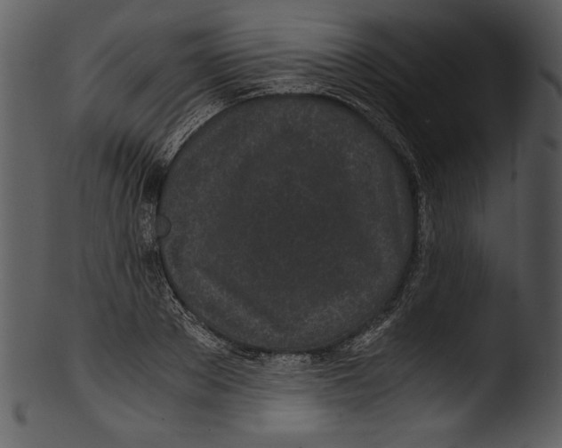 X0000103220889200809251132