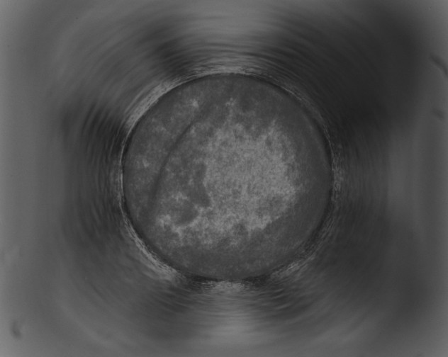 X0000103220890200809251132