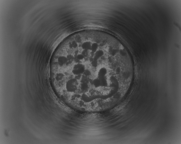 X0000103220891200809251132