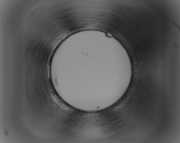 X0000103220892200809251132