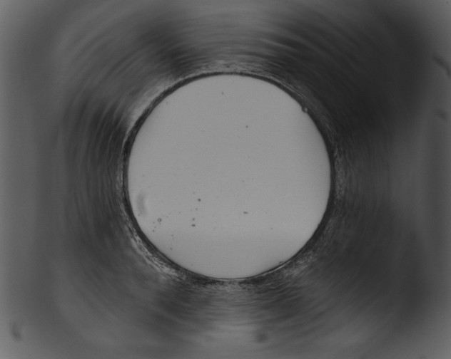 X0000103220896200809251132