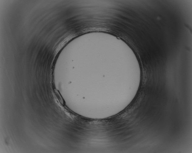 X0000103220898200809251132