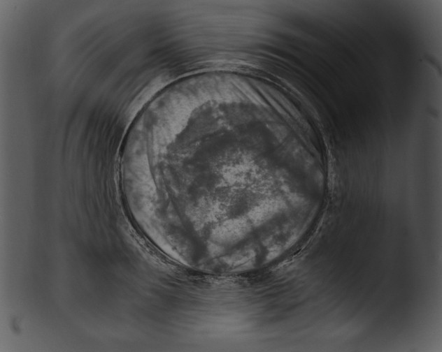 X0000103220899200809251132